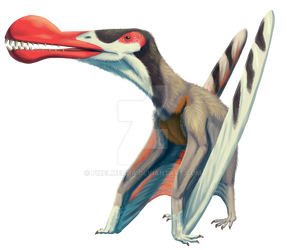 Ornithocheirus