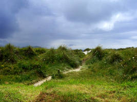 Donegal Dune