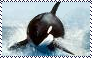 Orca Stamp