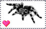 Spider-Tarantula Stamp