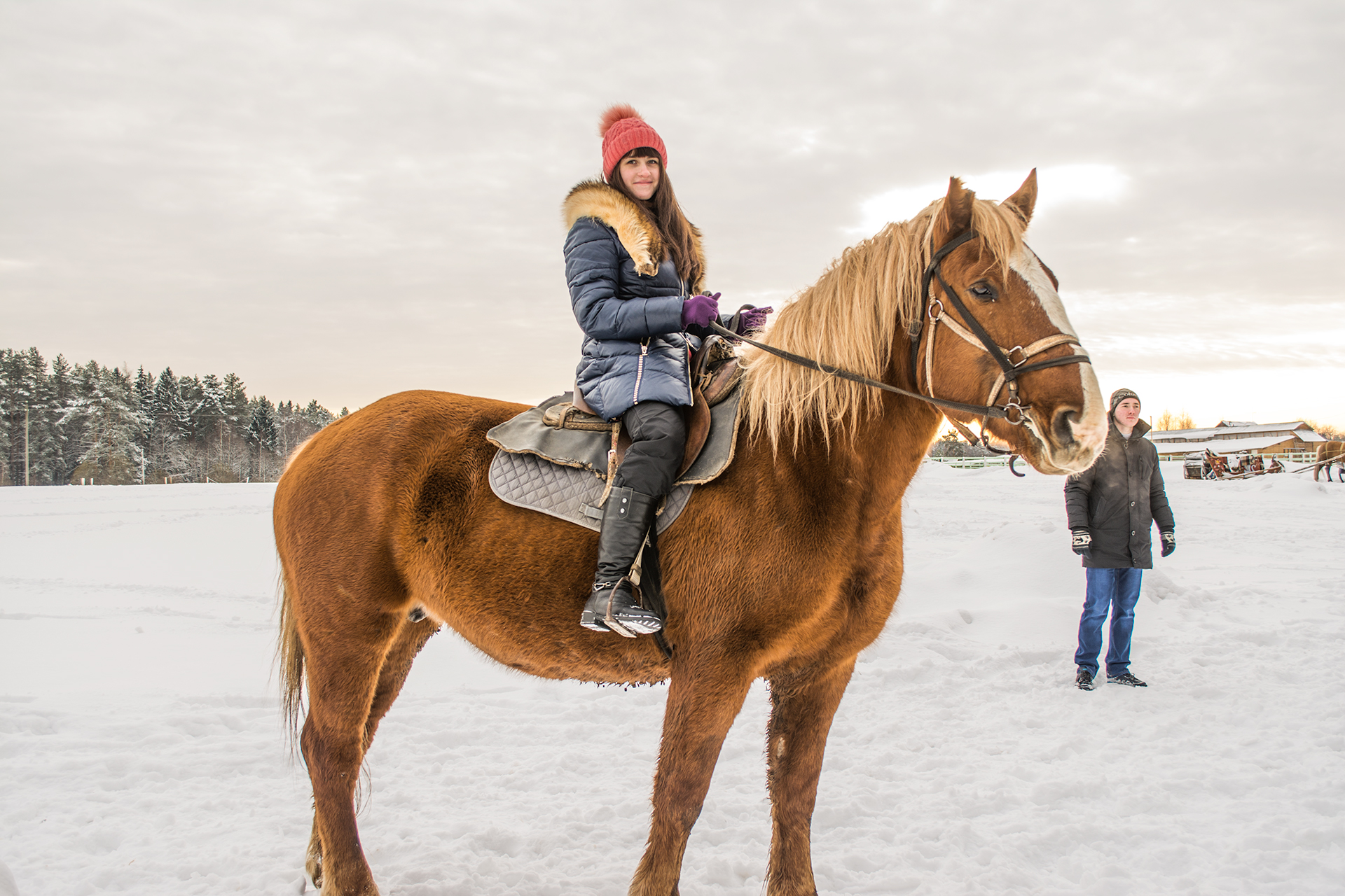 Horse walk