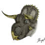 Nasutoceratops