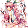 sakura miku