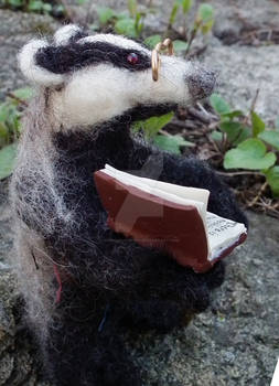 Mr Badger