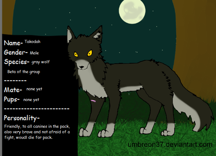 Takodah the grey wolf (Beta) rougelights app