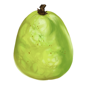 Guava Fruit - 50 FS