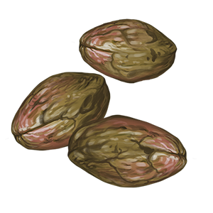 Cacao Beans - 50 FS