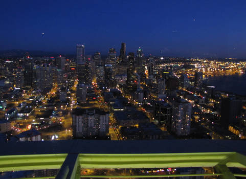 Seattle Via Needle