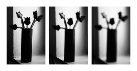 Triptych with black paper flowers