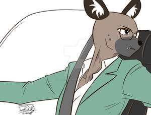 Haida driving car