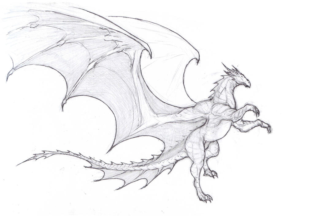 Sky steed dragon