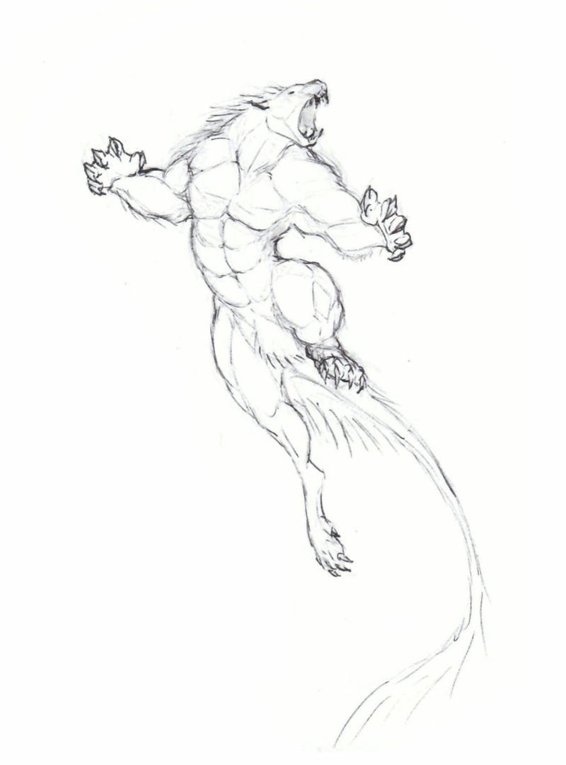Beast Races Drawing Beast by krigg on DeviantArt