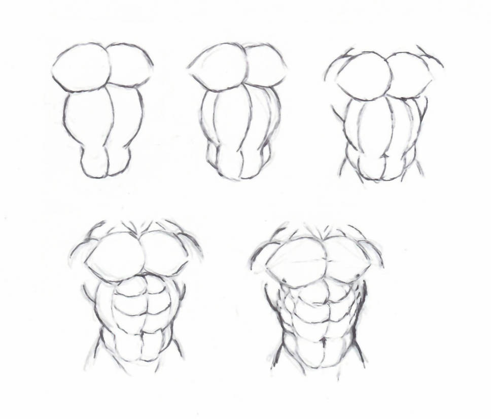 anime draw torso to how Draw torso muscle krigg on DeviantArt by anime draw torso to how Draw torso muscle krigg on DeviantArt by