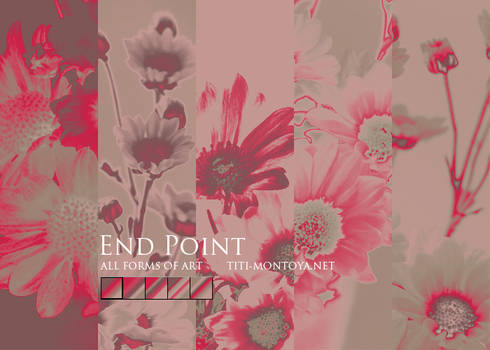 End Point