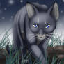 Bluestar's Hunt