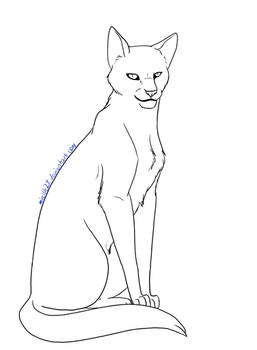 Cat Lineart 13