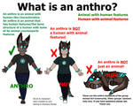 Anthro or Nahh? by Rainbow-Moose