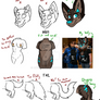 Learn about Moose