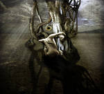 TREE OF KNOWLEDGE by chryssalis