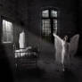 YOU'LL HAUNT ME FOREVER