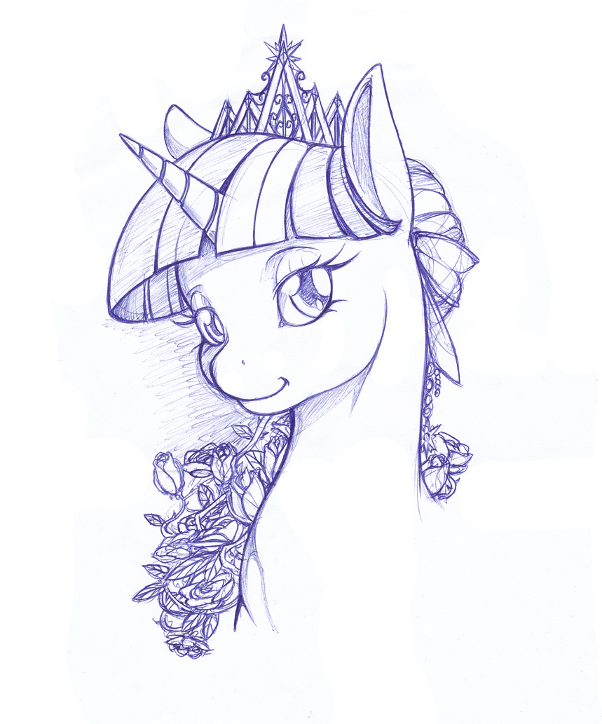 Twilight Bust - sketch