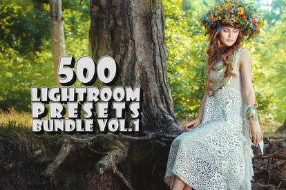 500 Professional Lightroom Presets Bundle V.1
