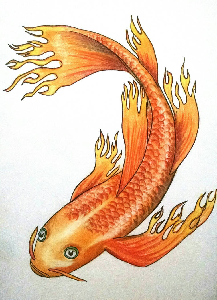 fire koi by Ilsona on DeviantArt