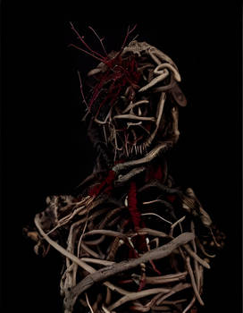 Driftwood skeleton