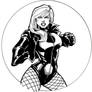 DC Hotties: Black Canary