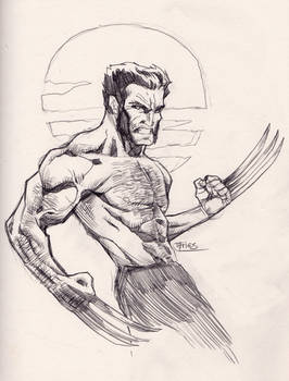 07262013 Wolverine