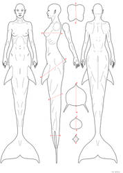 Mermaid anatomy by empyrean