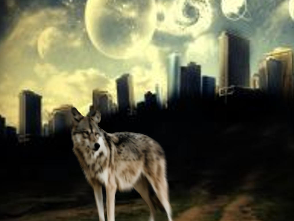 Wolf's City by JigsawJazzy on DeviantArt