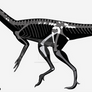 Chindesaurus byansmalli