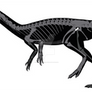 Erythrovenator jacuiensis