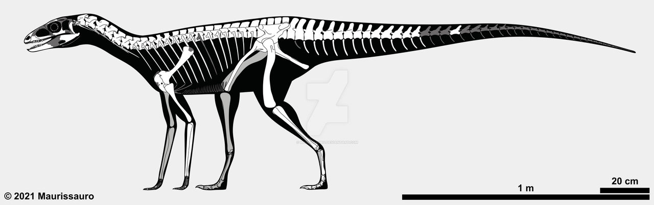 Silesaurus opolensis