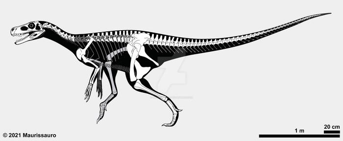 Herrerasaurus ischigualastensis