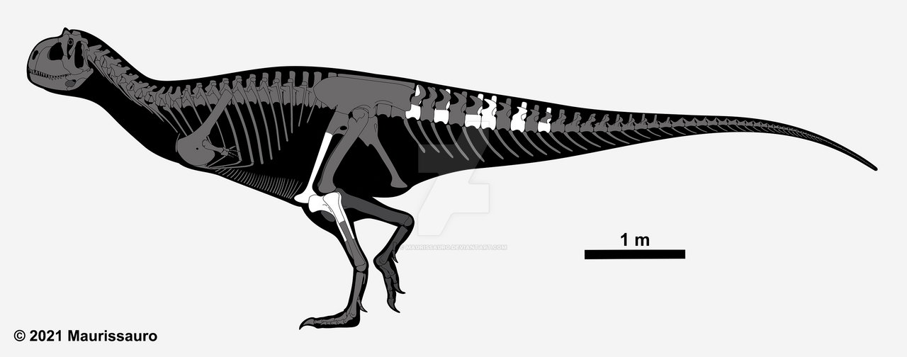 Day 7: Pycnonemosaurus nevesi WIP by Maurissauro on DeviantArt