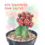 Cactuses Watercolor Sketches