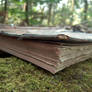 Book in Woods 4