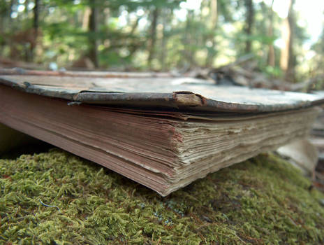 Book in Woods 4