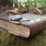Book in Woods 5