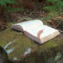 Book in Woods 6