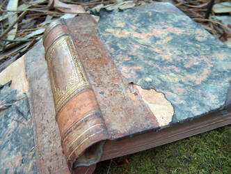 Book in Woods 9