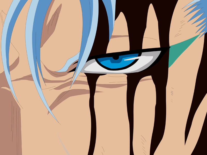 Grimmjow: ichigo how dare you