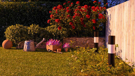 Summer evening in the garden