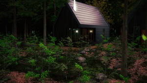 Cabin in the woods