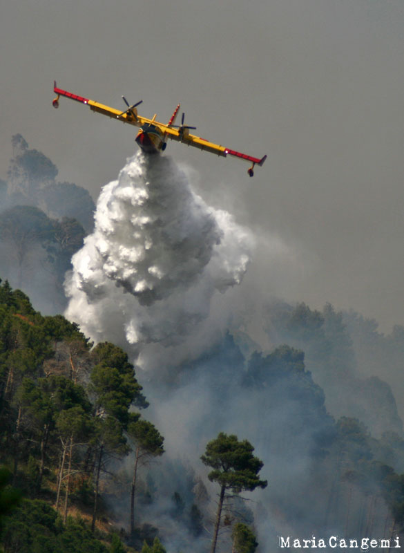 Incendio 2 Giugno 2009.