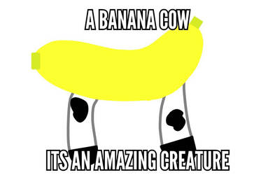 banana cow