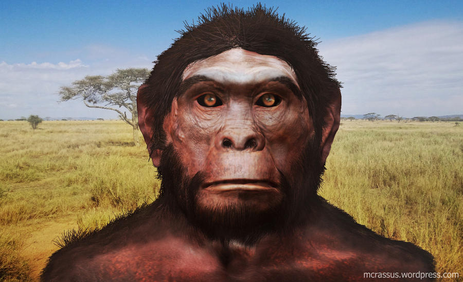 Homo Habilis by mcrassusart on DeviantArt