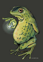 Frog Mystic